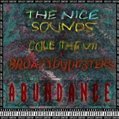 TNS X Cole The VII X Broadydudesters - Abundance