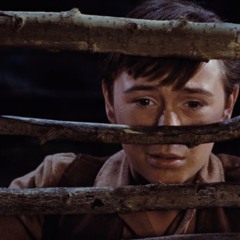Gay of the Day 56: "The Misadventures of Tommy Kirk".