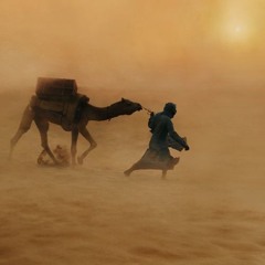 To The Wind