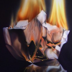 Гори твое фото