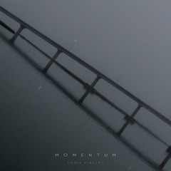 Momentum