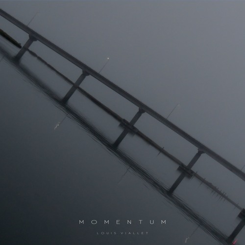 Momentum