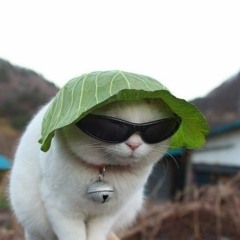 the fucking, and amazing, playlist