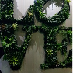 01 The House of Love