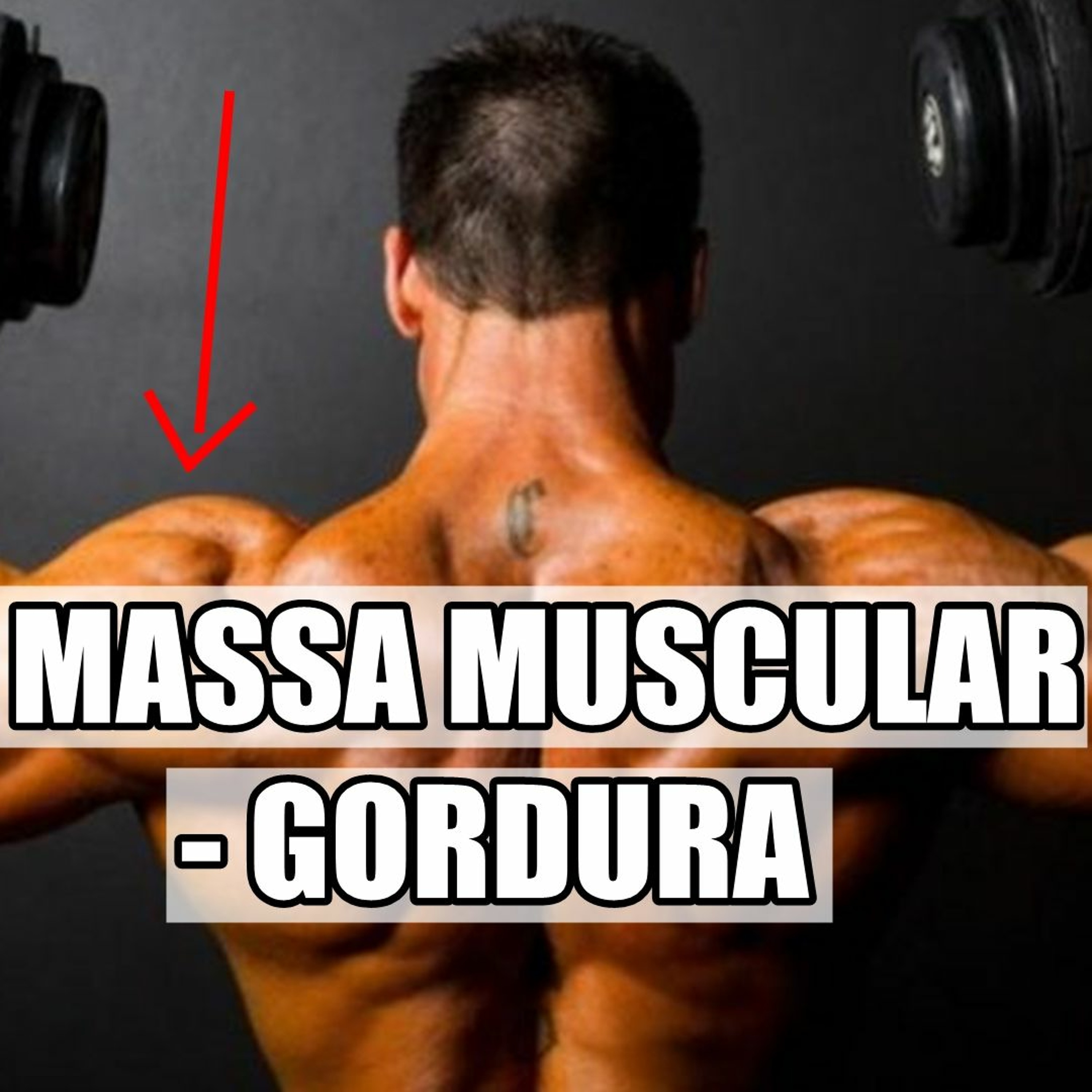 Papo Nutri - Ep. 3 - Como Construir MÚSCULOS!