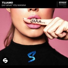 Tujamo - Say What You Wanna (Skyfire Remix) [FREE DOWNLOAD]