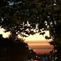 buzzing in the light dr. dog cover 25.11.18