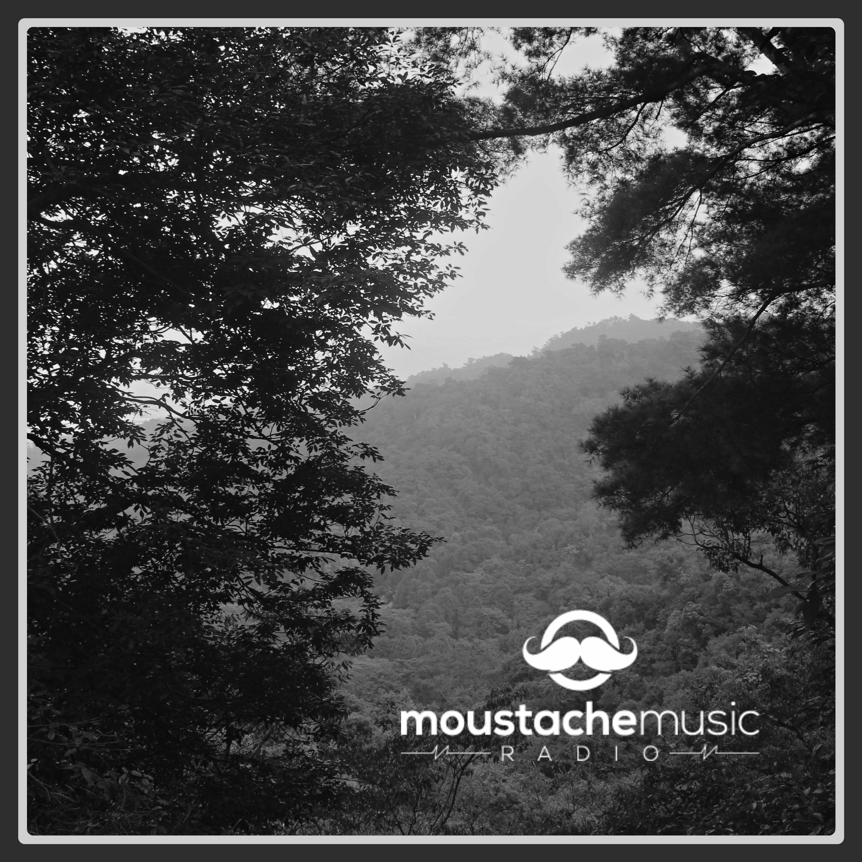 MoustacheMusic