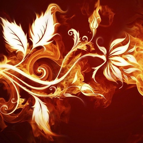 chill vibes&high times