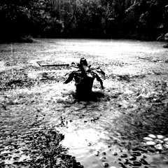 Dream State (Lucy Dacus Cover)