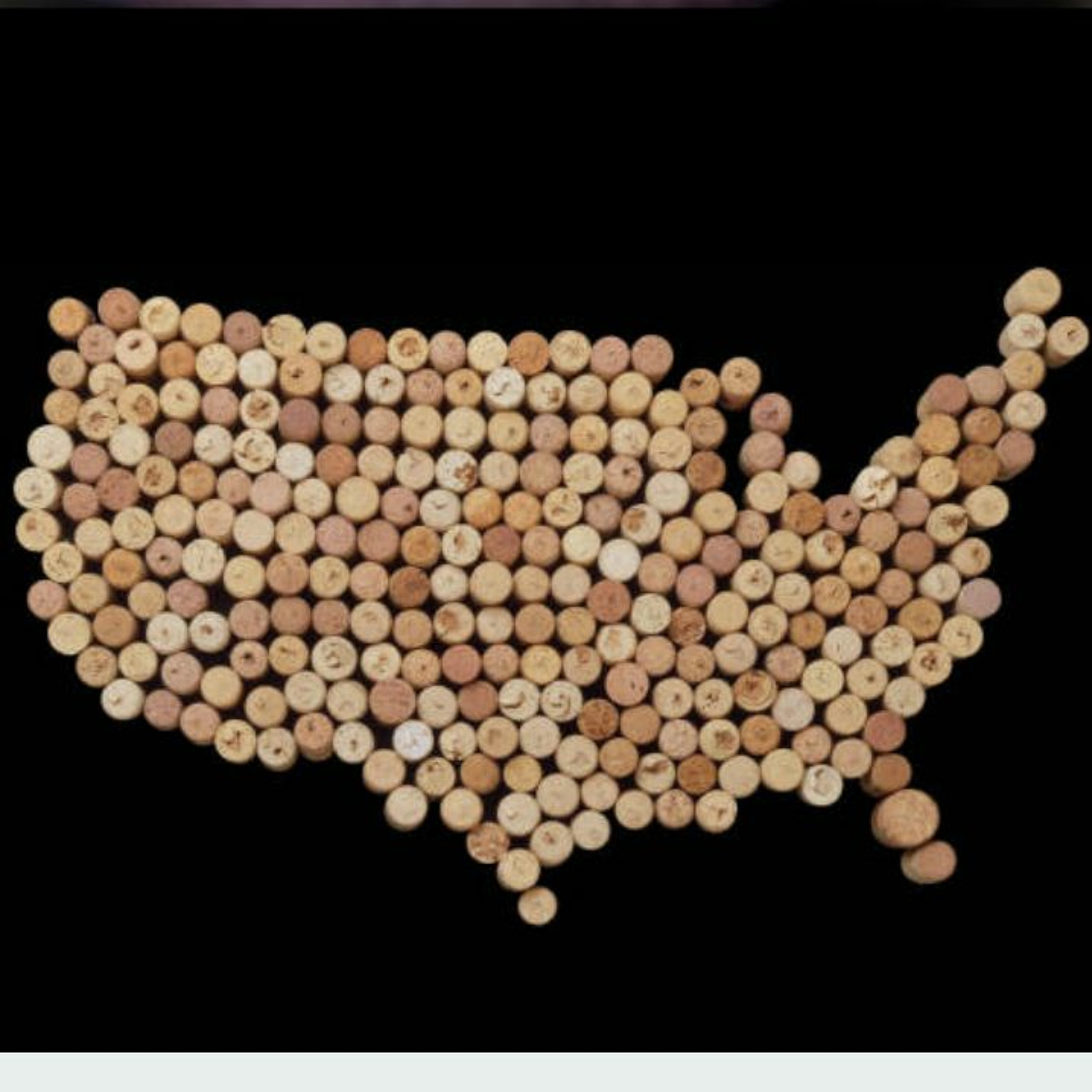 פרק 24 - ארצות הברית - מעצמת היין שבמערב הגלובוס