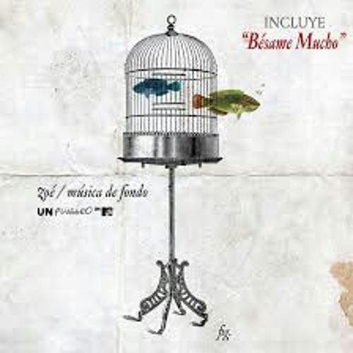 Zoé - Nunca (MTV Unplugged)