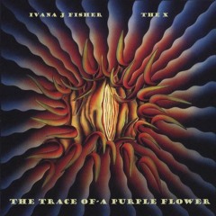 The Trace Of A Purple Flower