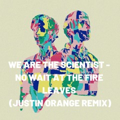 We Are The Scientists - No Wait At The Fire Leaves (Justin Orange Remix)