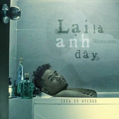 TÁO - LẠI LÀ ANH ĐÂY