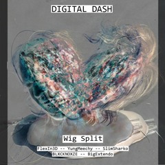 Wig Split