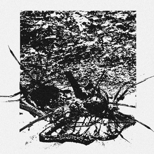[BLT015] Gigi Galli - Blame? EP (.Blame? .Niente Da Shprtr .Crack Championship)