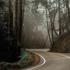 The World Takes Off