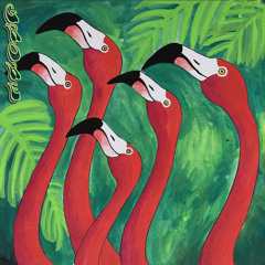 Descent Of The Dancing Flamingos (Thanks for 500 Followers 😎)