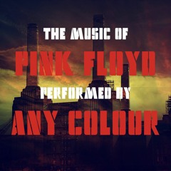 aNY CoLouR - Comfortably Numb (Pink Floyd Cover | live 2018)
