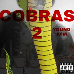 Cobras 2 Intro -  Prod By Nyx X James Gold