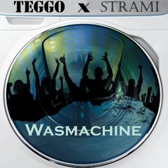 Teggo X STRAMI - Wasmachine