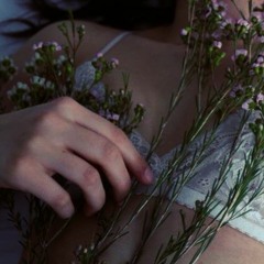 Wildflowers