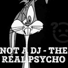 Not a Dj - The Real Psycho