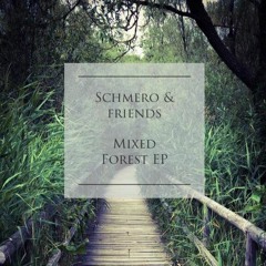 Schmero & Friends - Mixed Forest EP