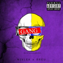 N I V L E K x BREU - Gang (Original Mix)