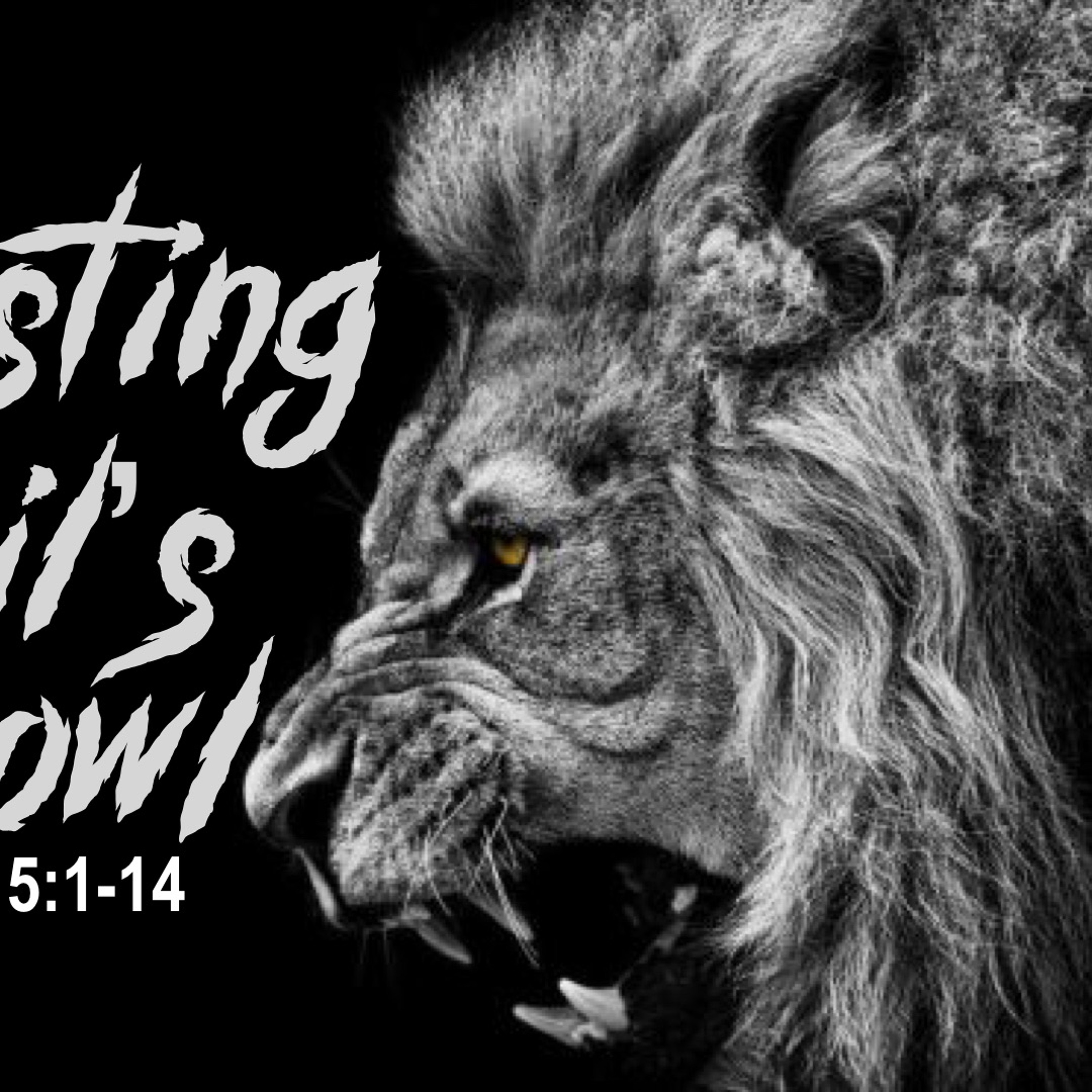 Resisting Evil's Prowl - 1 Peter 5:1 - 14 - Matthew Niemier episode artwork