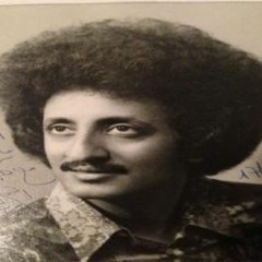 أحمد ربشة - سيبوه