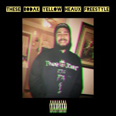 These Bodak Yellow Heaux Freestyle