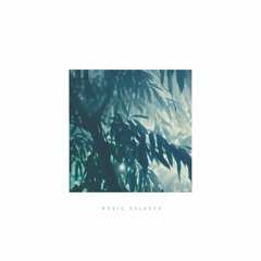 BVSICS SELECTS (DJ mix)