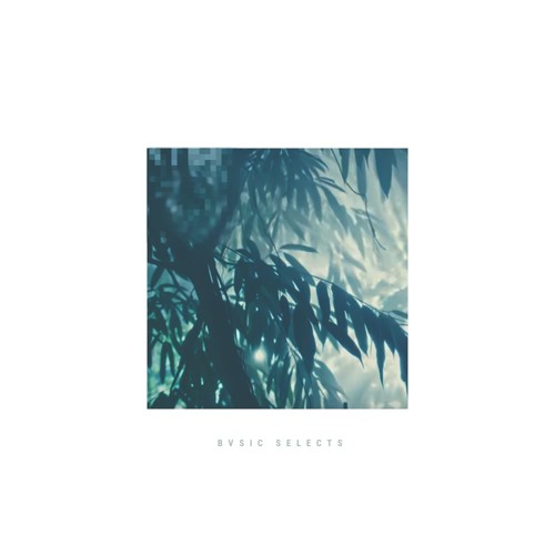 BVSICS SELECTS (DJ mix)