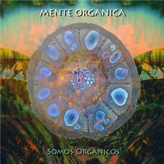 Mente Organica - Taita Inti (Anton Feine & Colour Your Mind Remix)