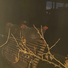 Soak x NoSafety - 666 (prod. by 19hearts)