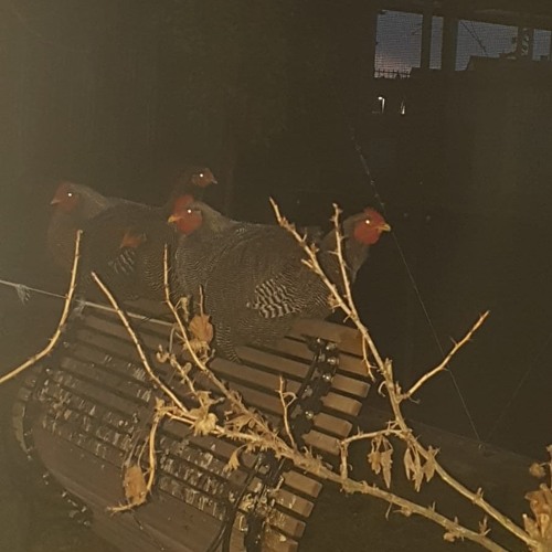 Soak x NoSafety - 666 (prod. by 19hearts)