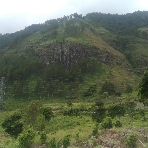 Seperti Rusa Yang Haus