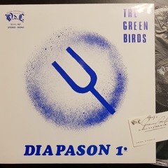 The Green Birds - DIAPASON 1°