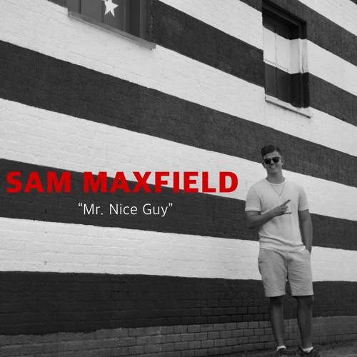 Mr. Nice Guy