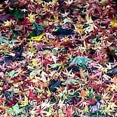 Grace Is Now Letting Go