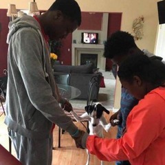 Episode 37 "Blackfished"