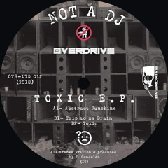 Not A Dj - Trip into my Brain