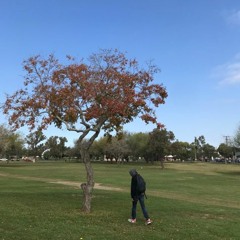 6attery - zLut [prod. by ge6]