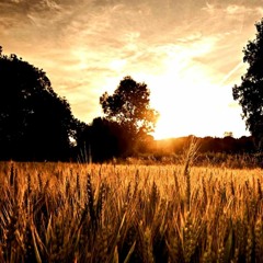 sunshine & country roads