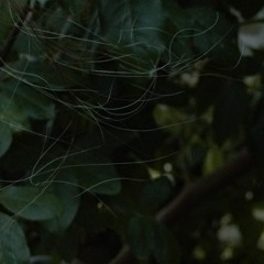 Church Of The Broken God (stereo mix)