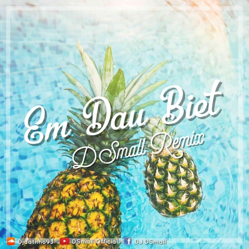 Rhymastic x SunD x Bigg Daddy - Em Đâu Biết (DSmall Tropical Mix)🍍