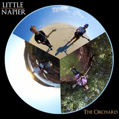 Little Napier // The Orchard