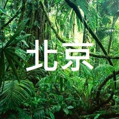 rainy days in beijing